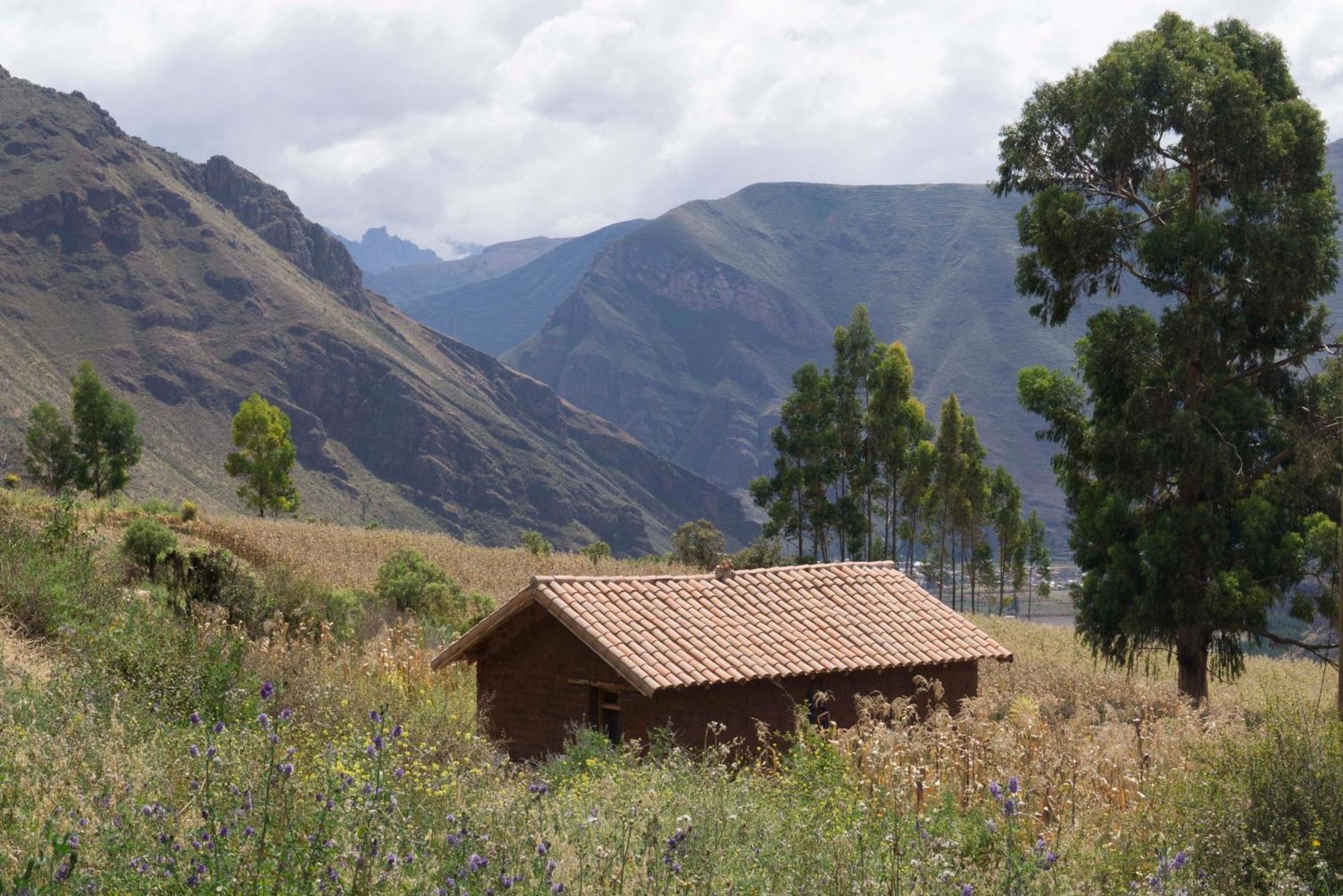 Cabana Feliciana Con Vistas Del Valle Sagrado Appartement Cusco